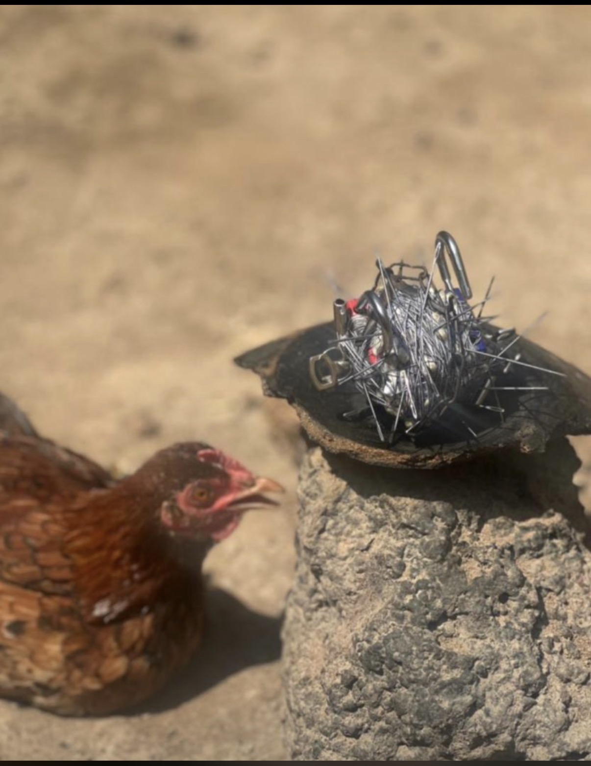 HEN LOCKING
